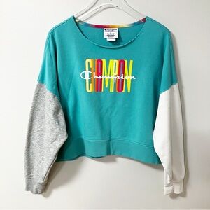 🔻 Champion | Colorblock Sweatshirt L